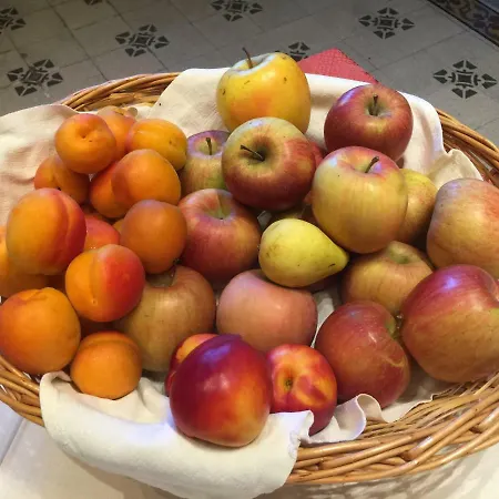 Casa Mater Ecclesiae * Massa Marittima