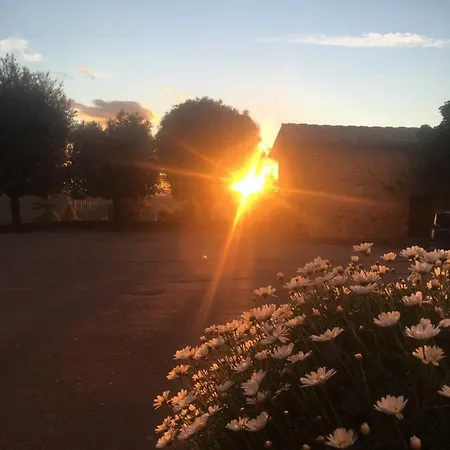 Casa Mater Ecclesiae Massa Marittima